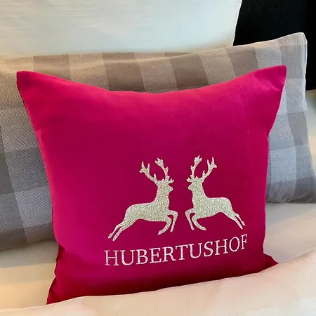 Apartment Hubertushof