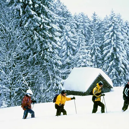 Hubertushof Apartman Jungholz