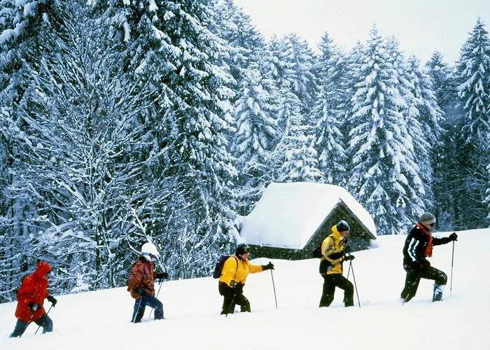 Hubertushof Apartmán Jungholz